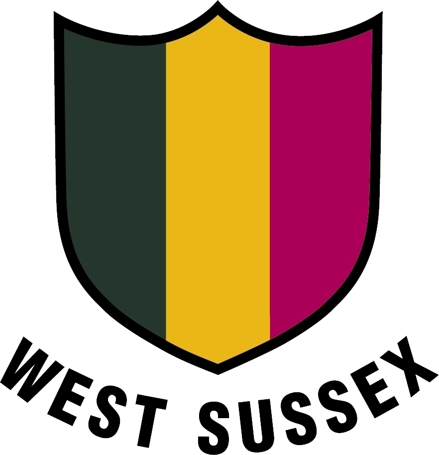 WS logo Black Text